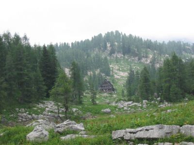 Kliknite za ogled večje slike