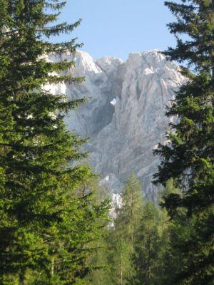 Kliknite za ogled večje slike