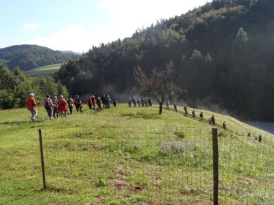 Kliknite za ogled večje slike