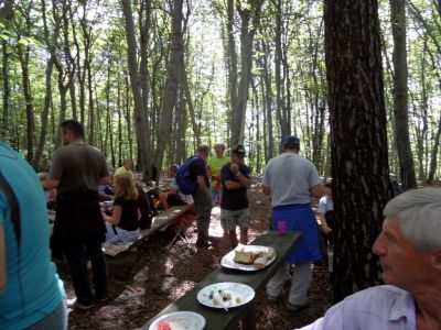 Kliknite za ogled večje slike
