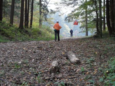 Kliknite za ogled večje slike