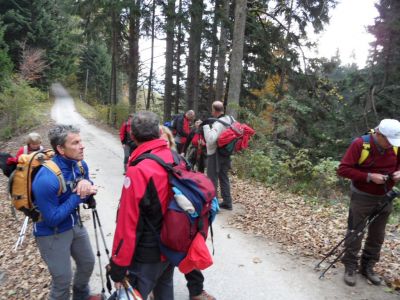 Kliknite za ogled večje slike