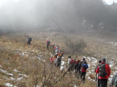 Kliknite za ogled večje slike