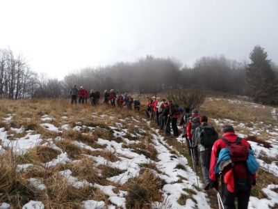 Kliknite za ogled večje slike
