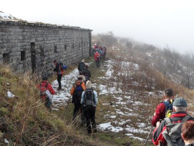 Kliknite za ogled večje slike