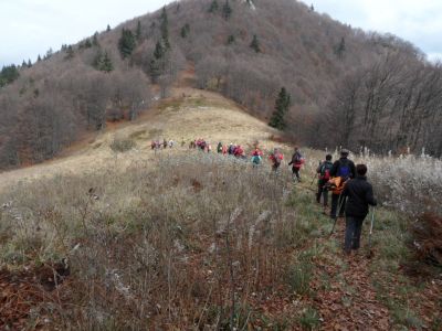Kliknite za ogled večje slike