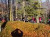 DSC02373.JPG