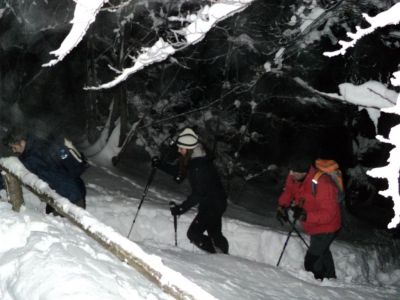 Kliknite za ogled večje slike