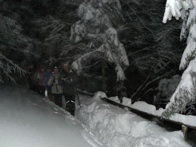 Kliknite za ogled večje slike
