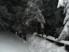 DSC00872.JPG