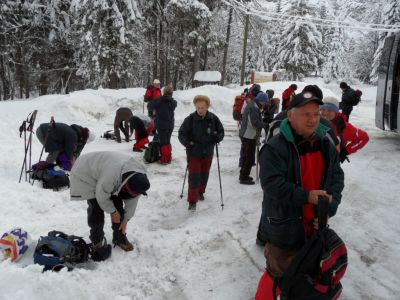 Kliknite za ogled večje slike