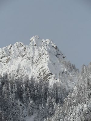 Kliknite za ogled večje slike