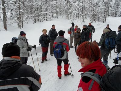 Kliknite za ogled večje slike