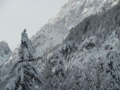 Kliknite za ogled večje slike