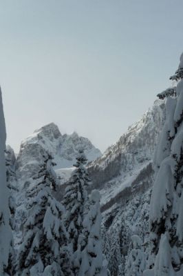 Kliknite za ogled večje slike