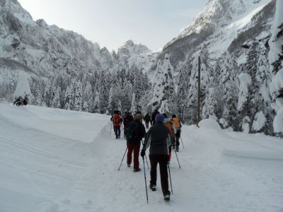 Kliknite za ogled večje slike