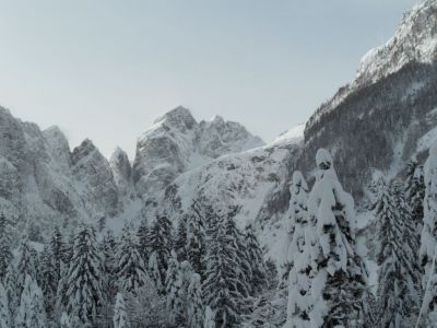 Kliknite za ogled večje slike
