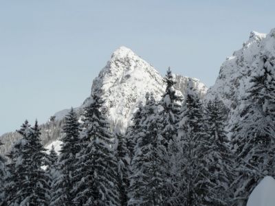 Kliknite za ogled večje slike