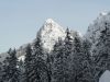 SAM_2505.JPG