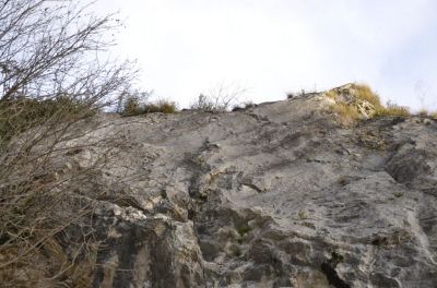 Kliknite za ogled večje slike