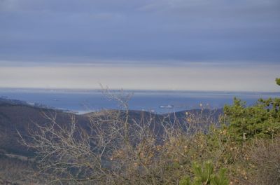 Kliknite za ogled večje slike