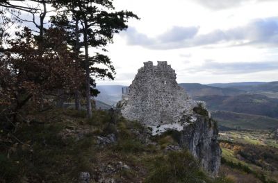 Kliknite za ogled večje slike