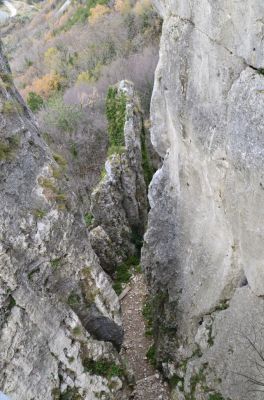 Kliknite za ogled večje slike