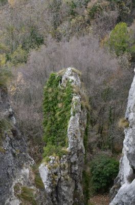 Kliknite za ogled večje slike