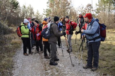 Kliknite za ogled večje slike
