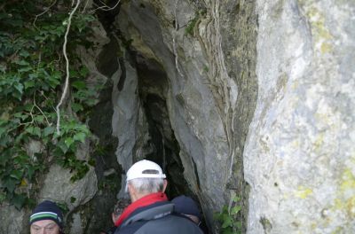 Kliknite za ogled večje slike