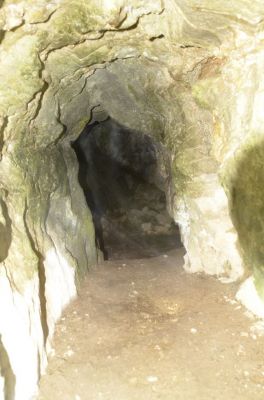 Kliknite za ogled večje slike