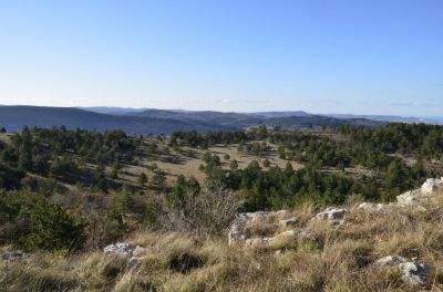 Kliknite za ogled večje slike