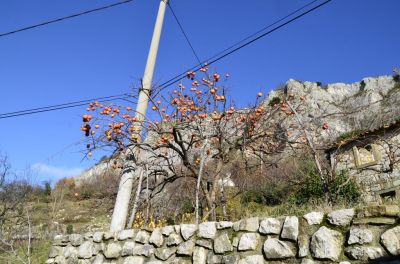 Kliknite za ogled večje slike