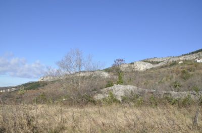 Kliknite za ogled večje slike