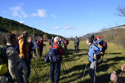 Kliknite za ogled večje slike