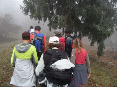 Kliknite za ogled večje slike