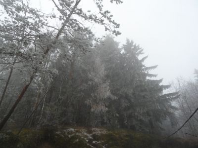 Kliknite za ogled večje slike