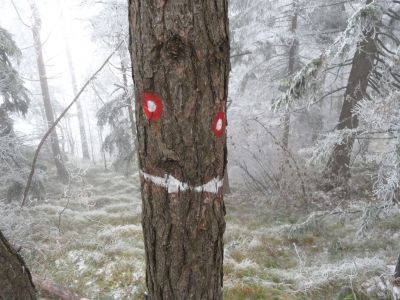 Kliknite za ogled večje slike