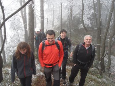Kliknite za ogled večje slike