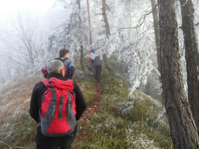 Kliknite za ogled večje slike