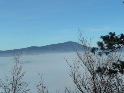 Kliknite za ogled večje slike