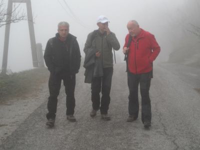 Kliknite za ogled večje slike
