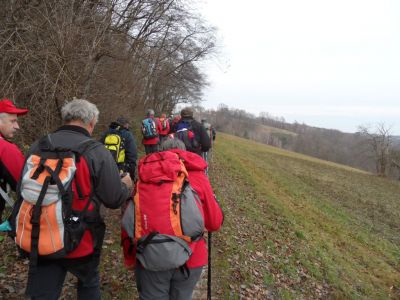 Kliknite za ogled večje slike