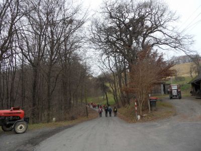 Kliknite za ogled večje slike
