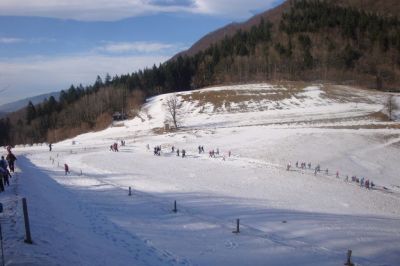 Kliknite za ogled večje slike