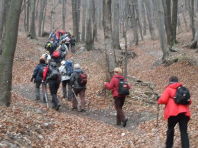 Kliknite za ogled večje slike