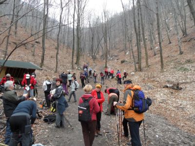 Kliknite za ogled večje slike