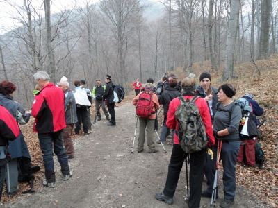 Kliknite za ogled večje slike