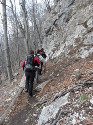 Kliknite za ogled večje slike