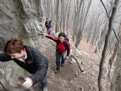 Kliknite za ogled večje slike